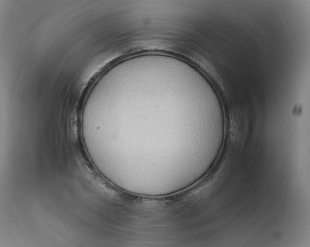 X0000112210782200909041340