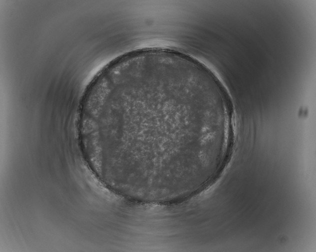 X0000112210783200909041340