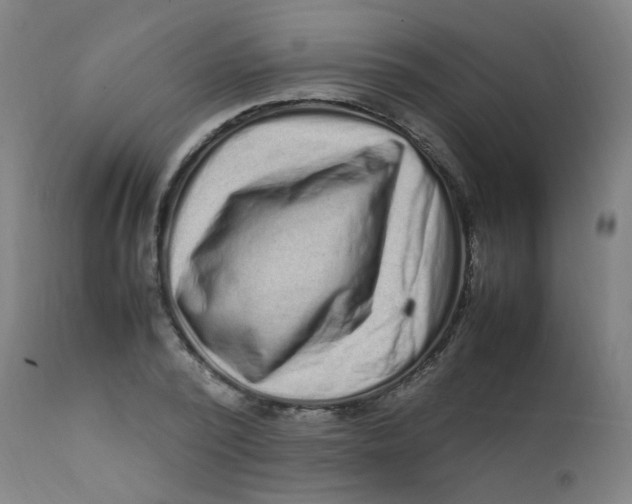 X0000112210784200909041340