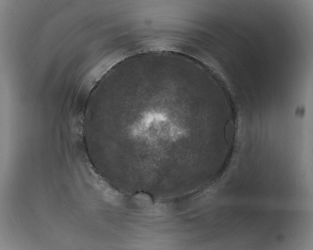 X0000112210785200909041340