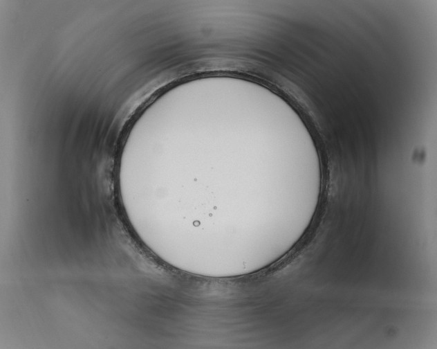 X0000112210786200909041340