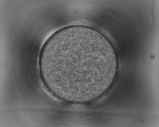 X0000112210788200909041340