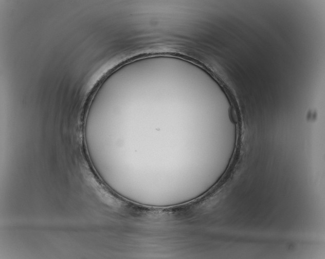 X0000112210789200909041340