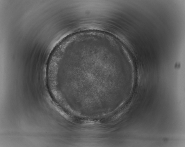 X0000112210790200909041340