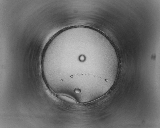 X0000112210792200909041340