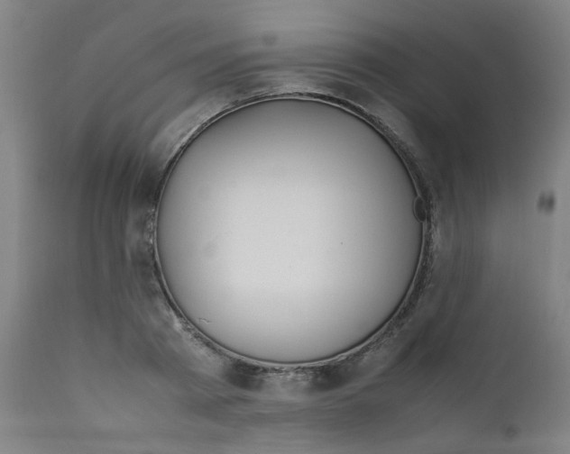X0000112210793200909041340