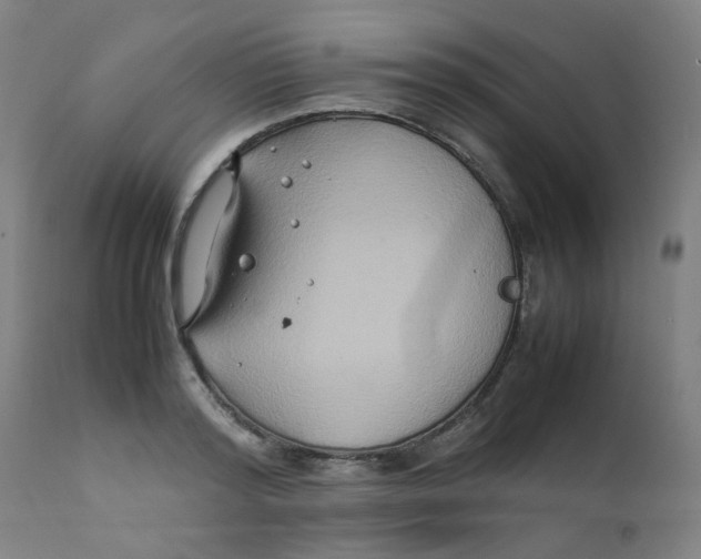 X0000112210796200909041340