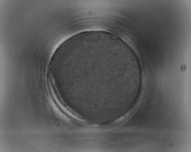 X0000112210797200909041340