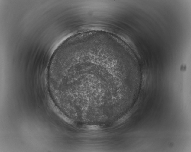 X0000112210798200909041340