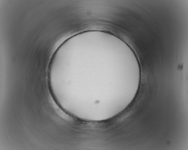 X0000112210803200909041340