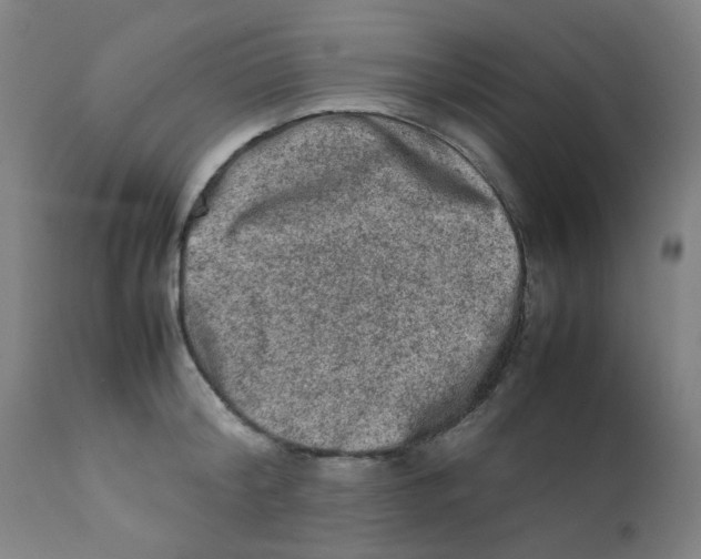 X0000112210804200909041339
