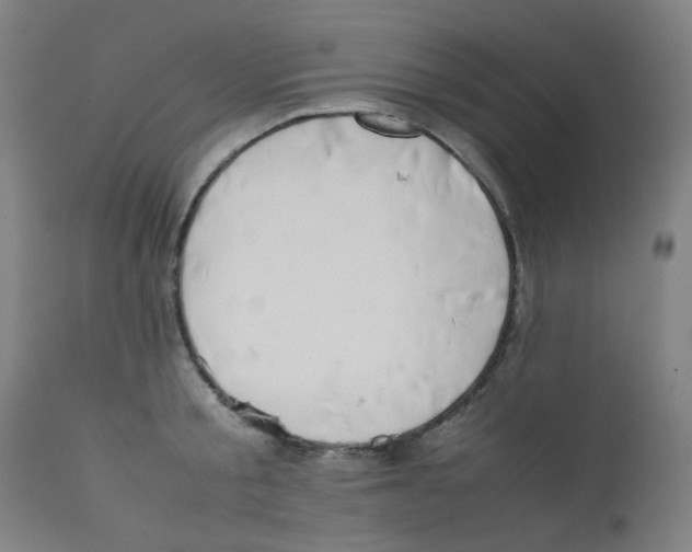 X0000112210805200909041339