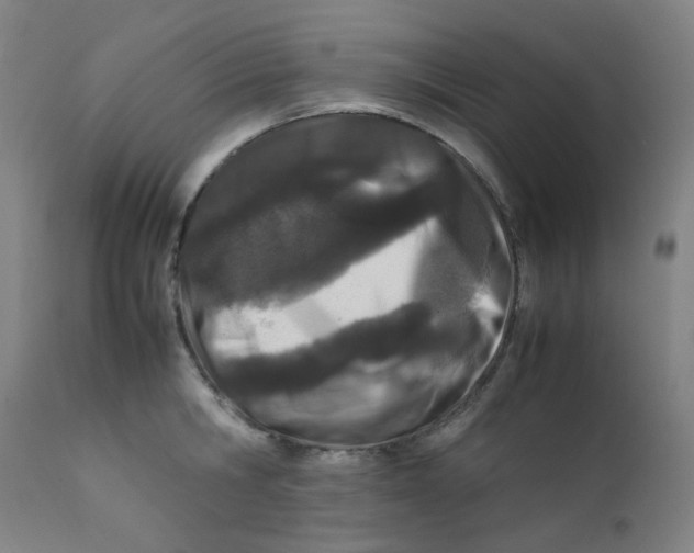 X0000112210806200909041339