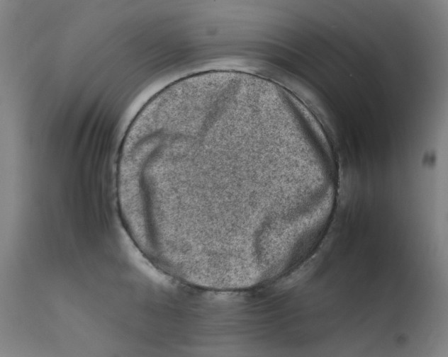 X0000112210808200909041339
