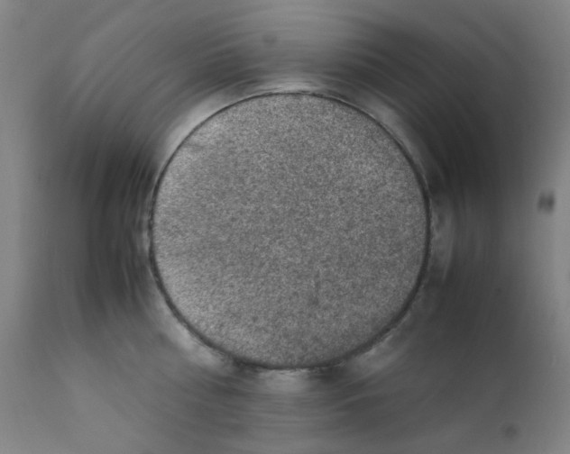 X0000112210810200909041339