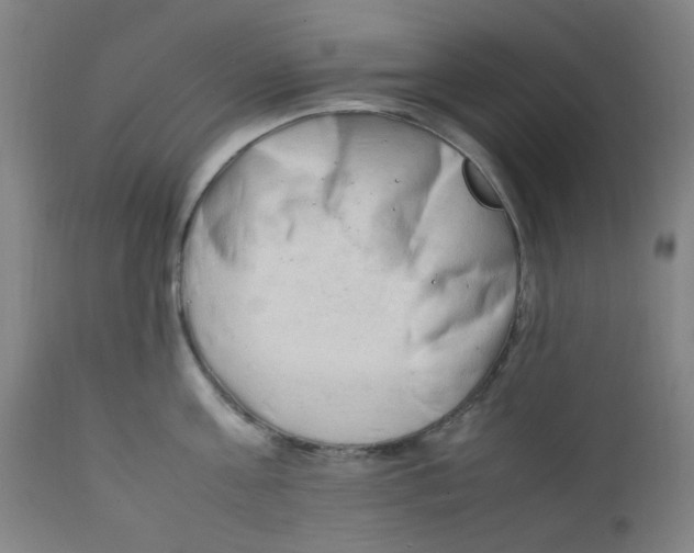 X0000112210811200909041339
