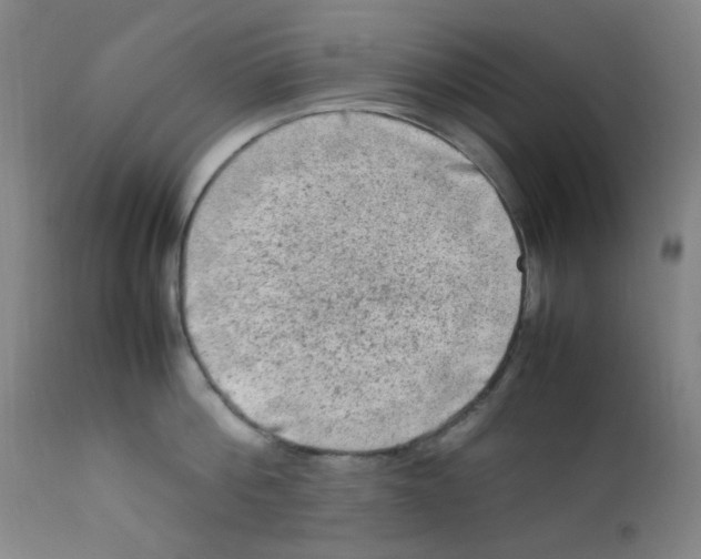 X0000112210812200909041339
