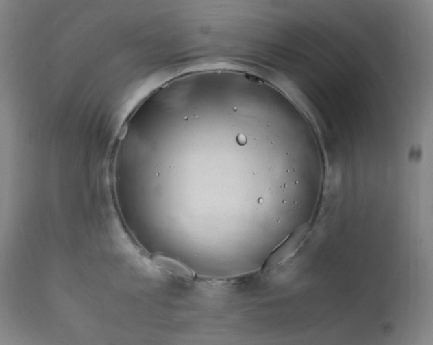 X0000112210813200909041339