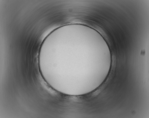 X0000112210814200909041339