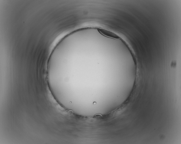 X0000112210815200909041339