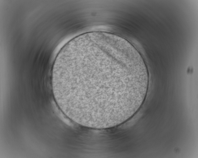 X0000112210816200909041339