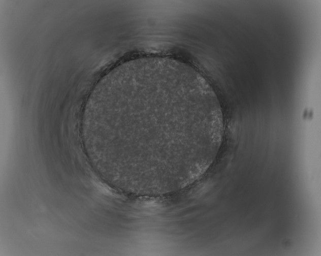 X0000112210817200909041339