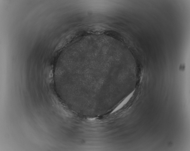 X0000112210818200909041339
