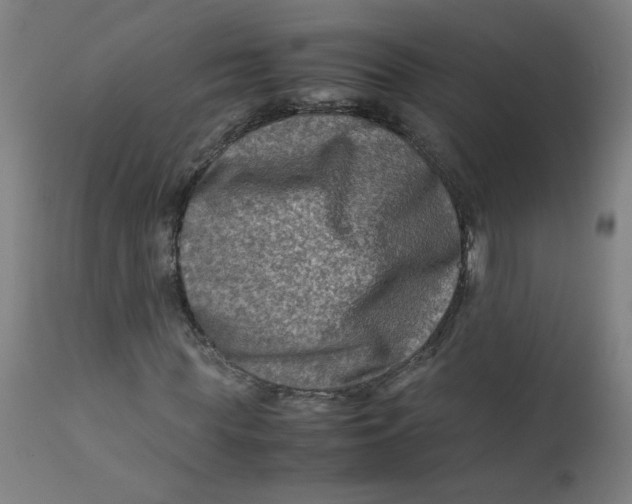 X0000112210819200909041339