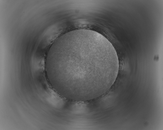 X0000112210820200909041339