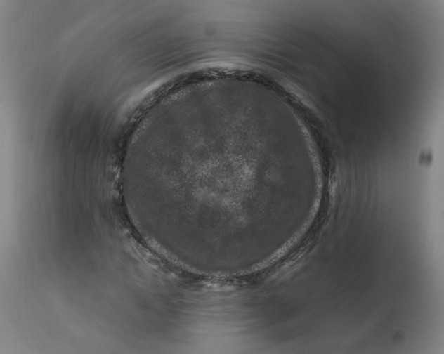 X0000112210822200909041339