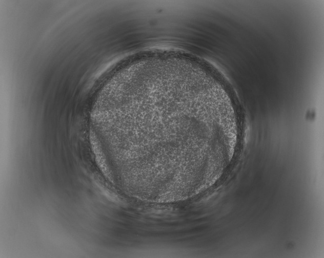 X0000112210823200909041339