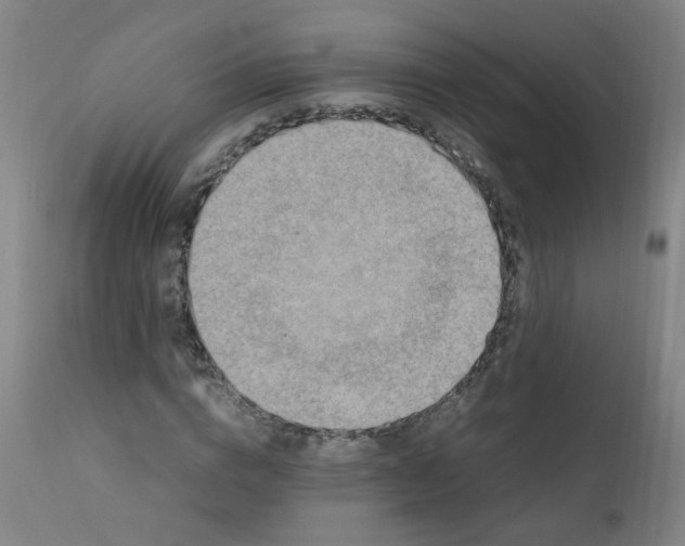 X0000112210824200909041339