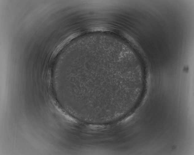 X0000112210825200909041339