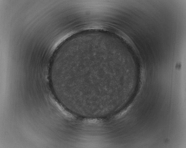 X0000112210826200909041339