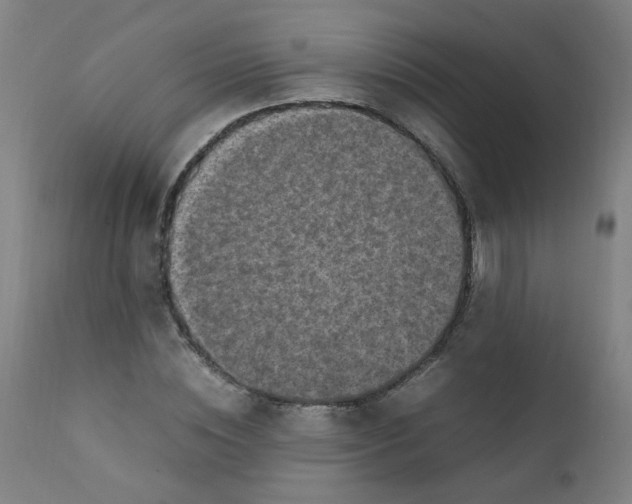X0000112210828200909041339