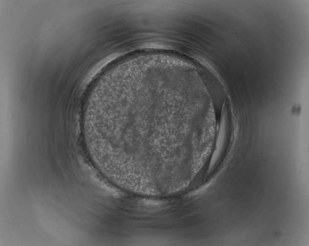 X0000112210829200909041339
