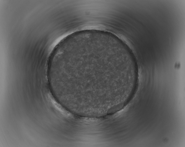 X0000112210830200909041339