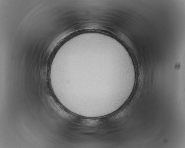 X0000112210831200909041339