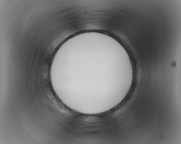X0000112210833200909041339