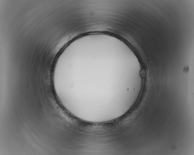 X0000112210834200909041339