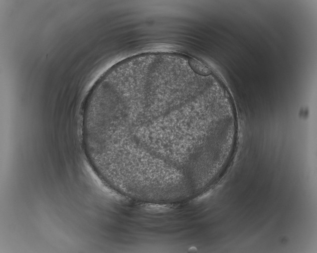 X0000112210835200909041339