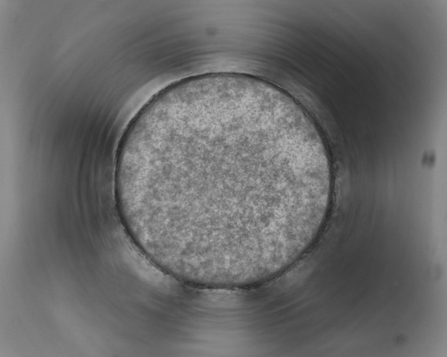 X0000112210836200909041339