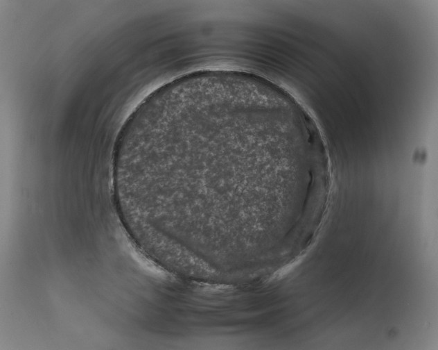 X0000112210837200909041339