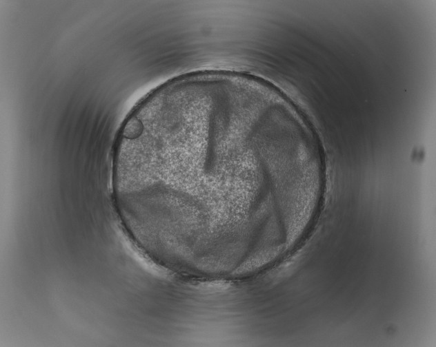 X0000112210838200909041339