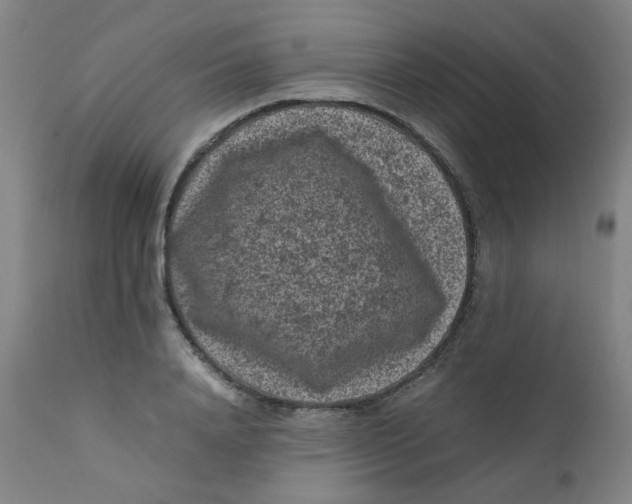 X0000112210840200909041339