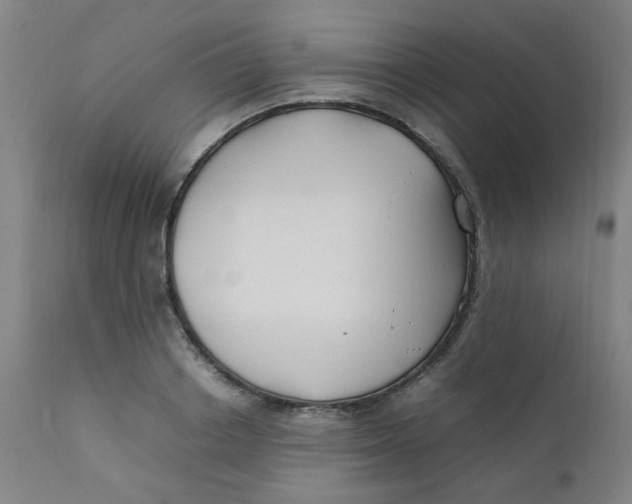 X0000112210842200909041339