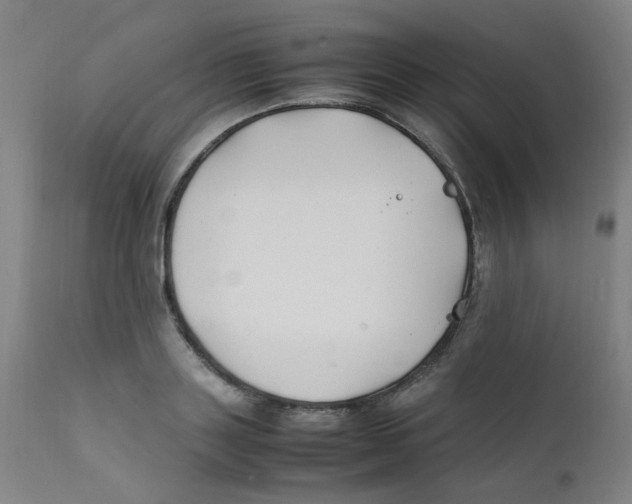X0000112210843200909041339