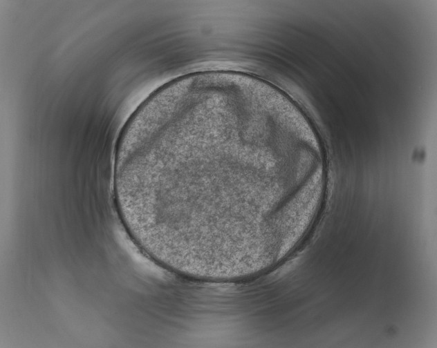 X0000112210844200909041339