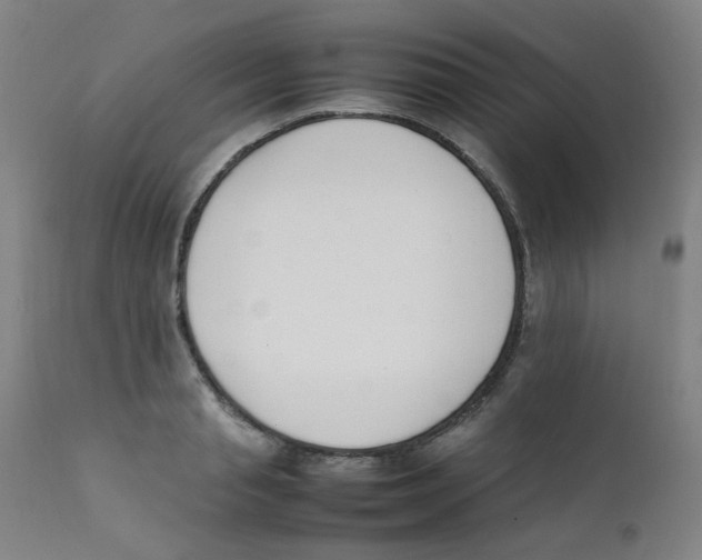 X0000112210845200909041339