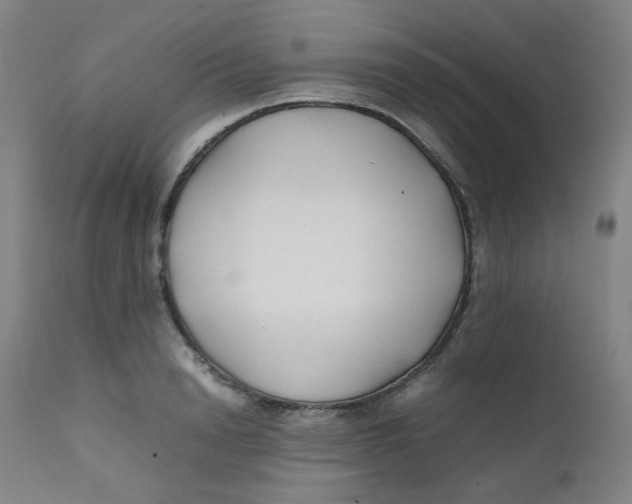 X0000112210846200909041339